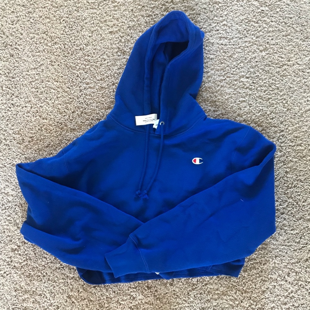 Champion cropped hoodie